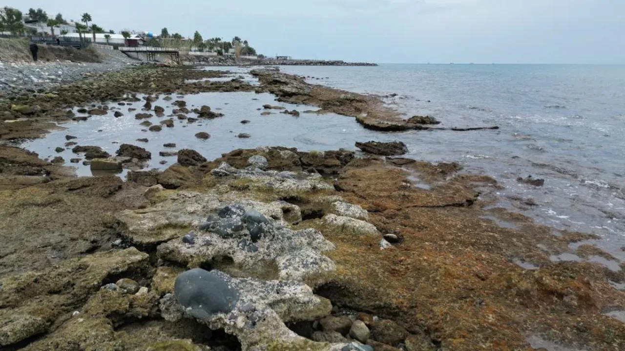 Deniz 20 metre çekildi! Tedirgin eden manzara