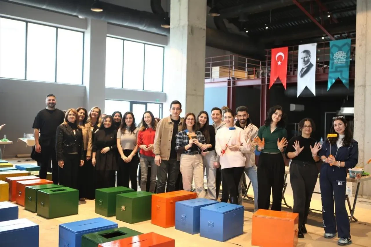 Eski oy sandıkları kedilerin umudu oldu!