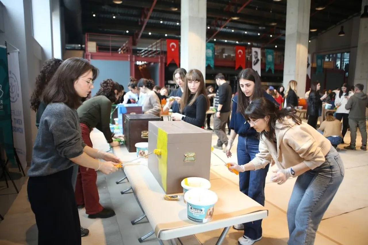 Eski oy sandıkları kedilerin umudu oldu!