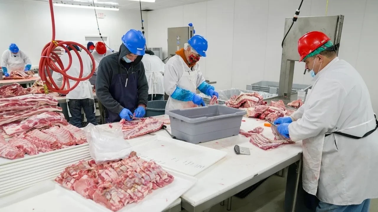 Kırmızı et sektöründe 3 milyar TL'lik kayıt dışı kazanç tespit edildi! Maliye takibe aldı
