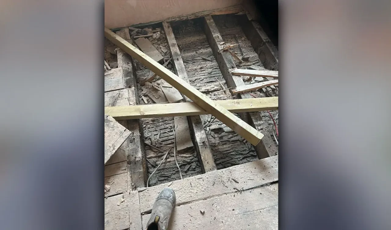 En acı keşif: Evdeki döşemenin altından bebek cesedi çıktı