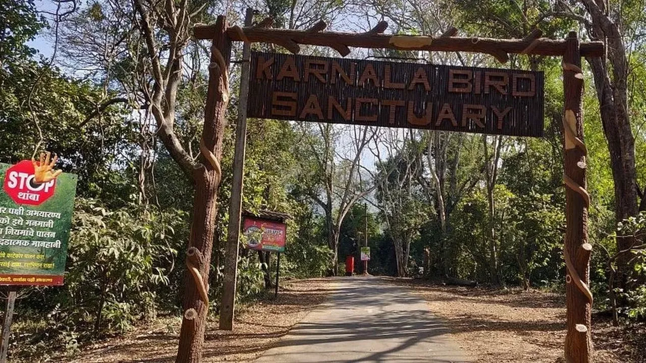 Katil arılar 1 kişiyi öldürdü, yaklaşık 10 kişiyi yaraladı! Kuş barınağında akılalmaz olay