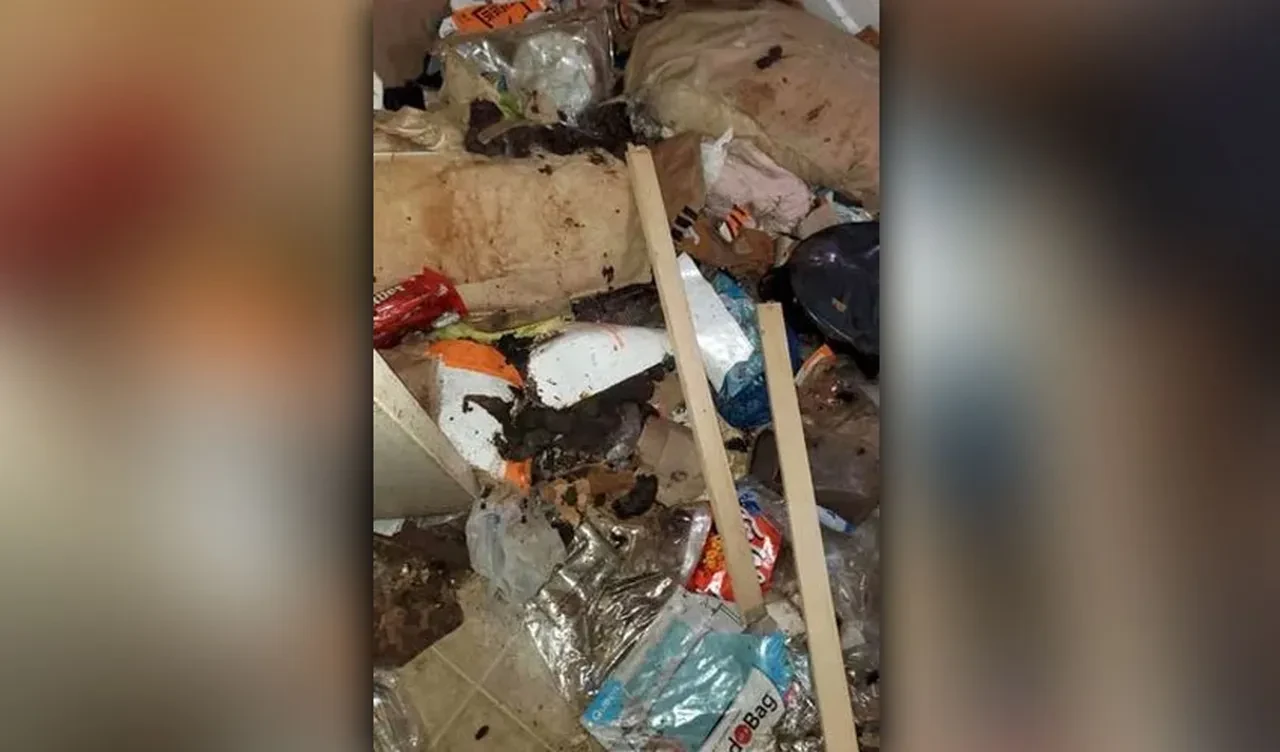 Terk edilen 3 çocuk korkunç halde bulundu: Metrelerce çöp yığınlarıyla dolu evden yıllarca hiç çıkmadılar