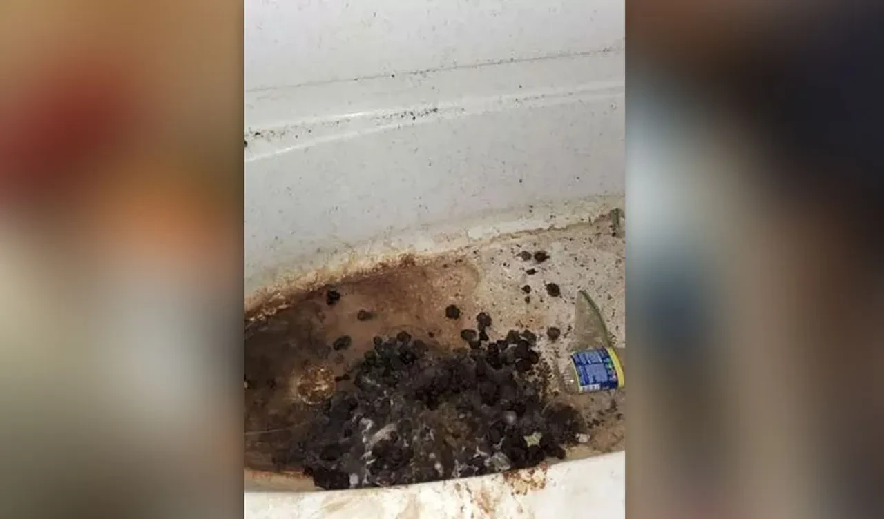 Terk edilen 3 çocuk korkunç halde bulundu: Metrelerce çöp yığınlarıyla dolu evden yıllarca hiç çıkmadılar