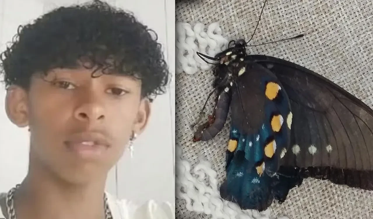 Akılalmaz 'meydan okuma' öldürdü: Kelebek kalıntılarını suyla karıştırıp kendine enjekte etti!