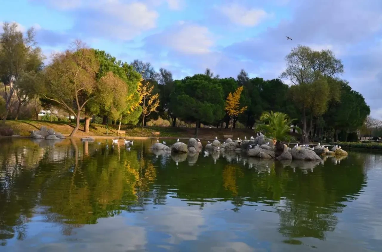 Google Maps paylaştı: Türkiye’de en çok aratılan yerler belli oldu