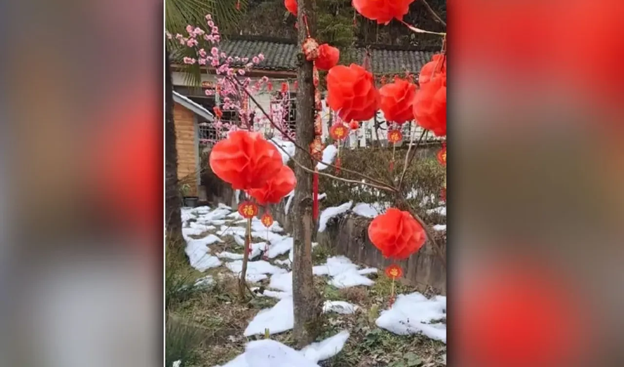 Tatil köyünden skandal kandırmaca: Kar diye gittiler pamuk çıktı!