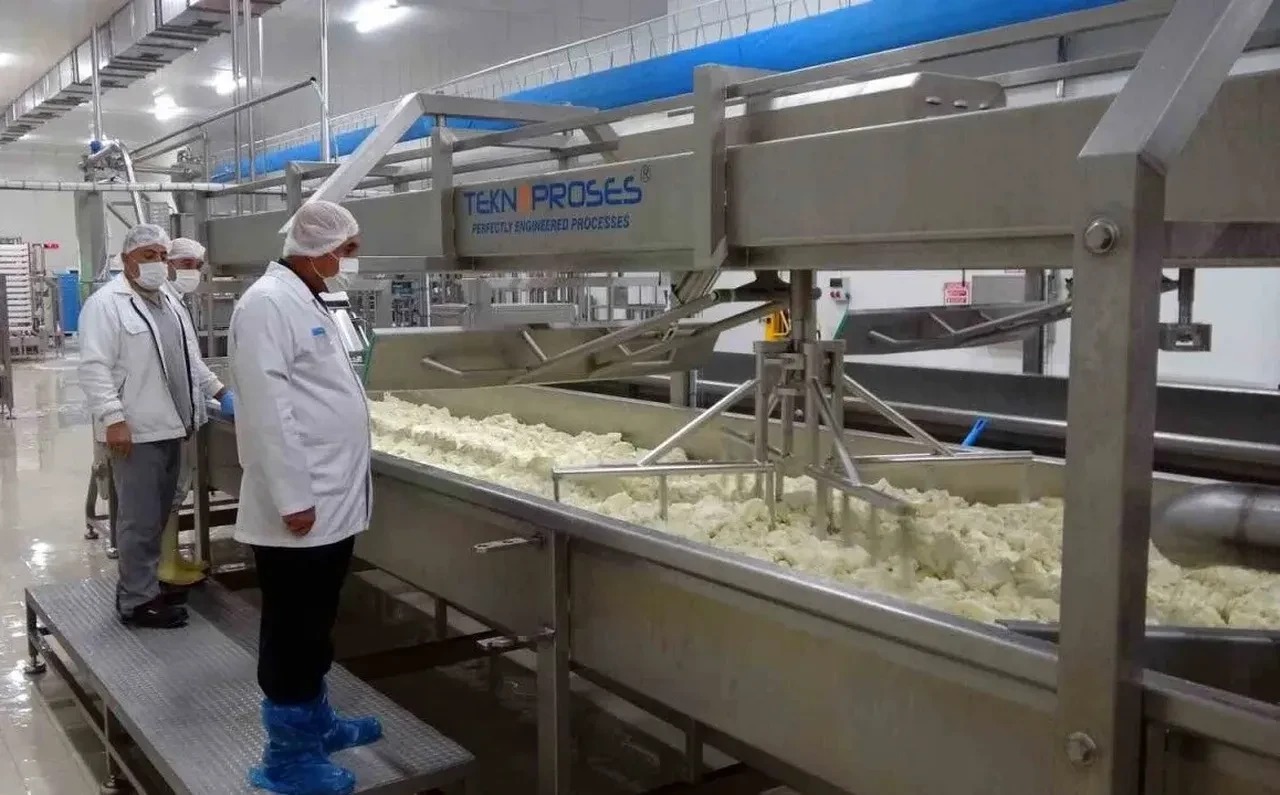 TEKSÜT'e haksız kazanç cezası! 'Antep peyniri'  diye satmışlar...