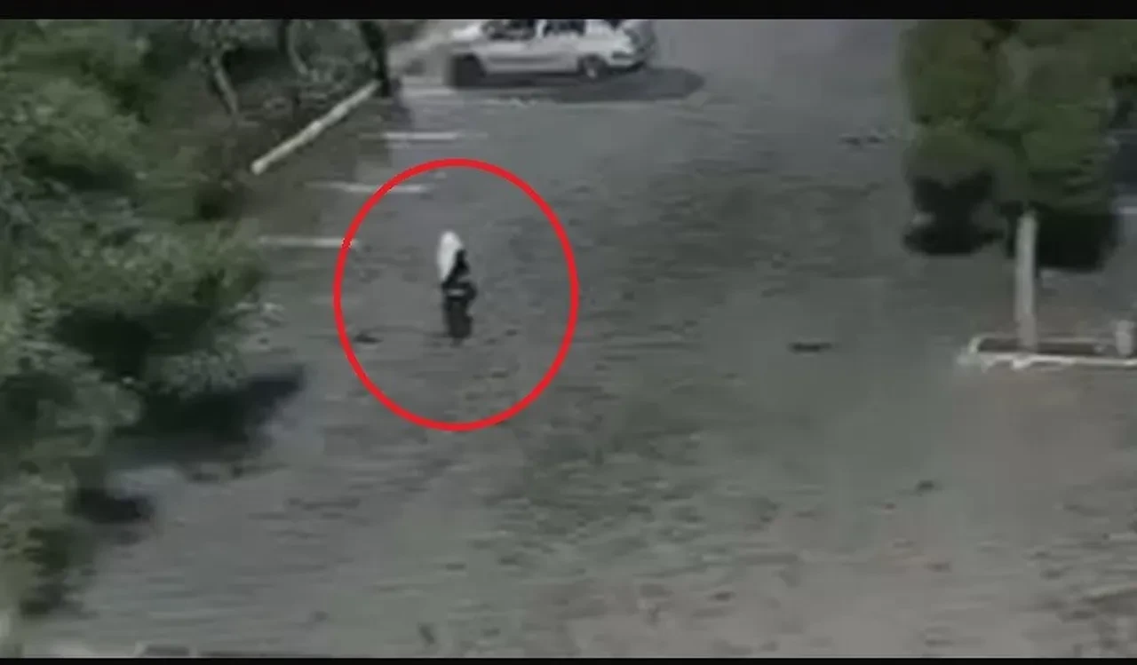Azılı hırsız kadın kılığında yakalandı! Lakabı Bukalemun