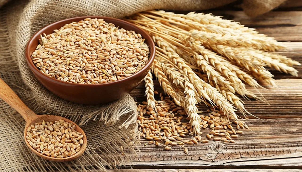 MHP'den 'Askıda 9 Gülek Buğday' kampanyası!