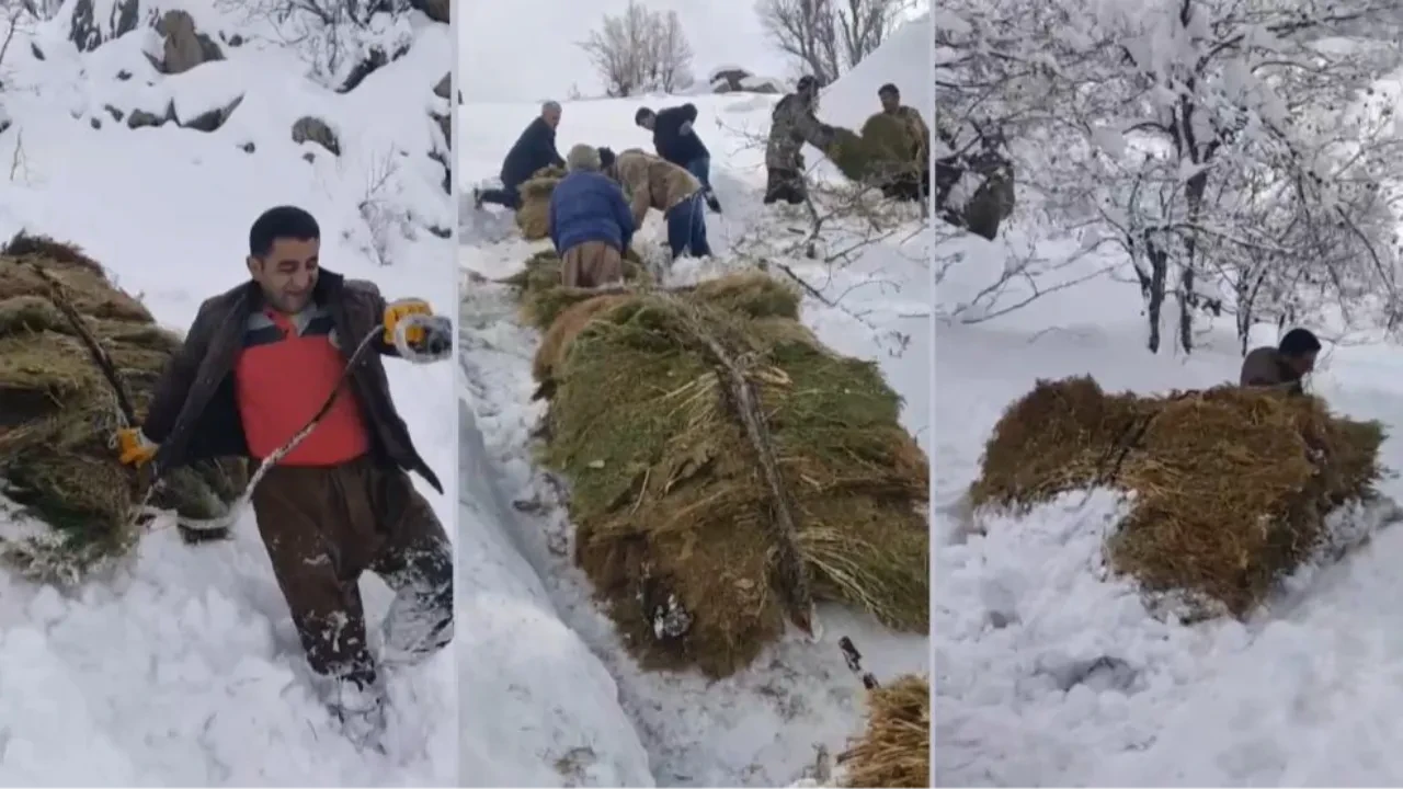 Hakkari’de çiftçilerin 30 yıllık zorlu kış geleneği!