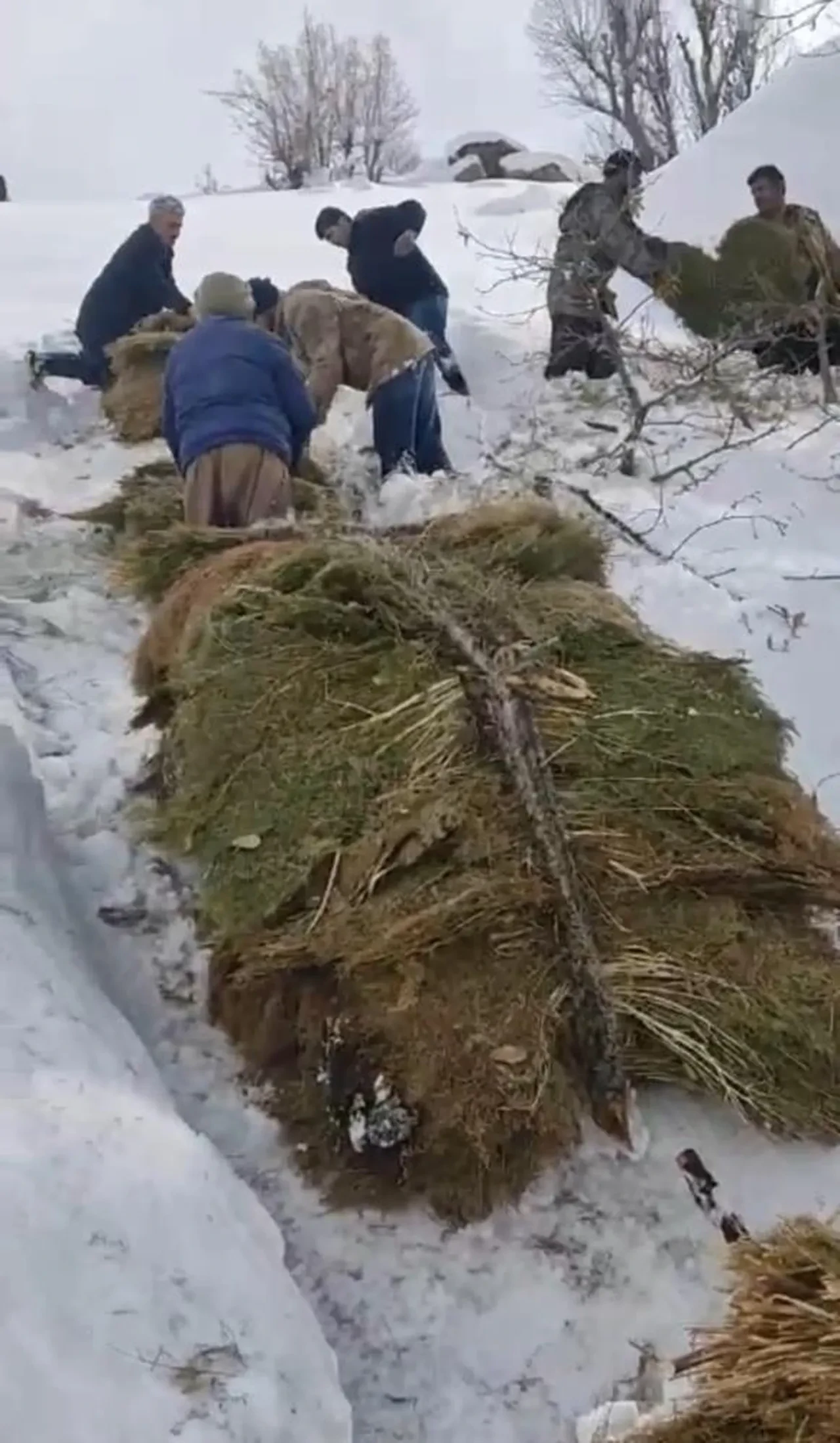 Hakkari’de çiftçilerin 30 yıllık zorlu kış geleneği!