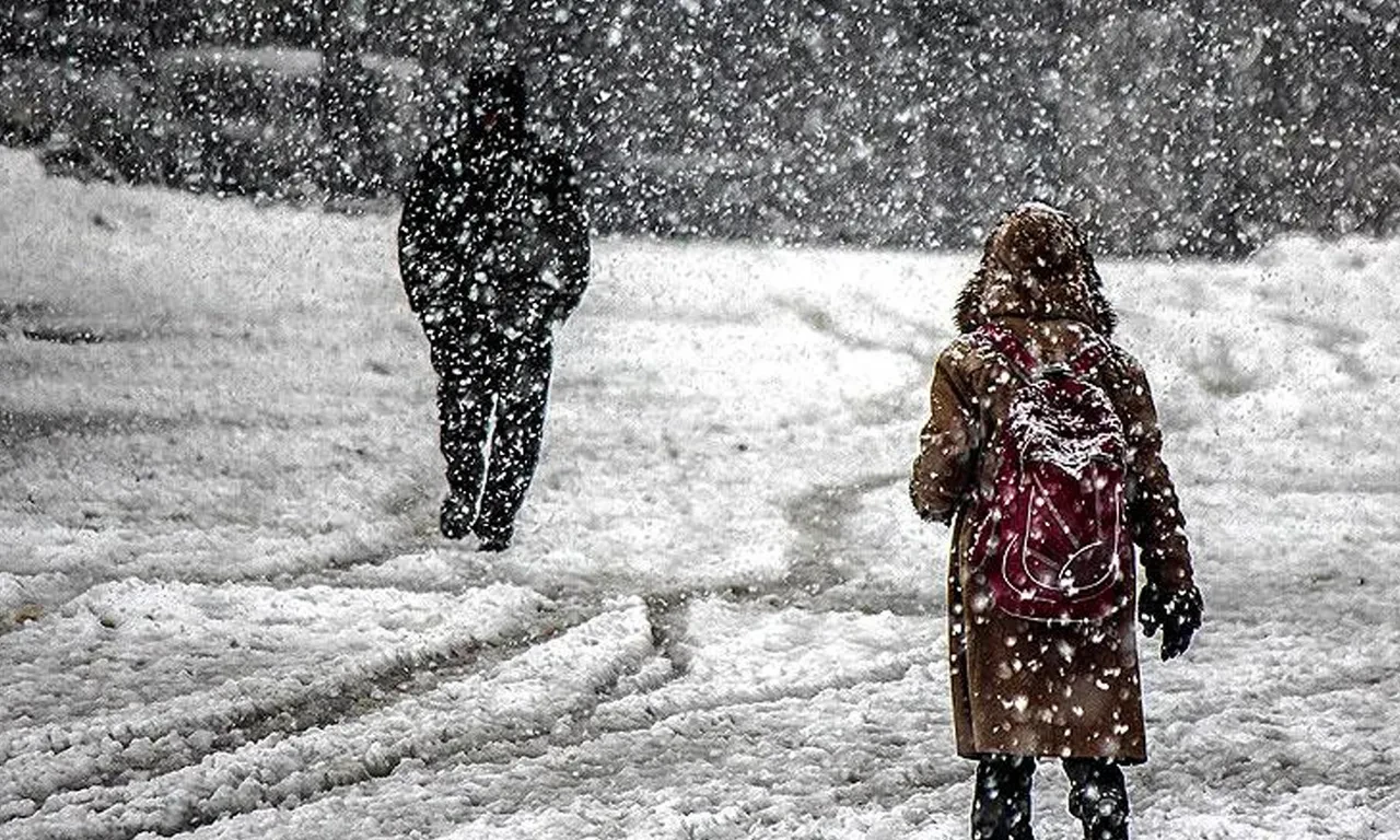 Okullar tatil haberleri peş peşe geliyor! 25 Şubat Salı günü okulların tatil olduğu il ve ilçeler