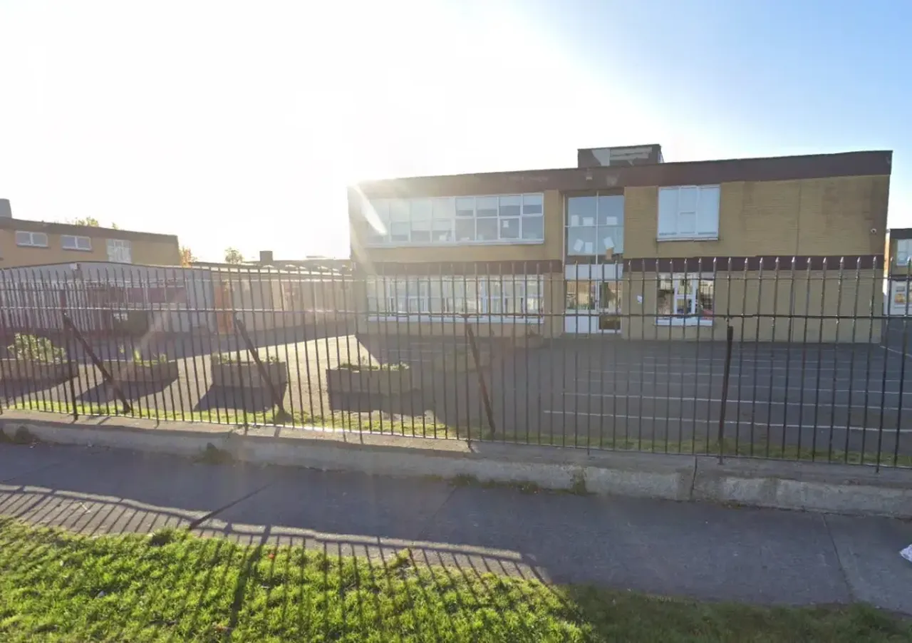 Kuşun gagasından okul bahçesine düşen kesik el! Polis harekete geçti