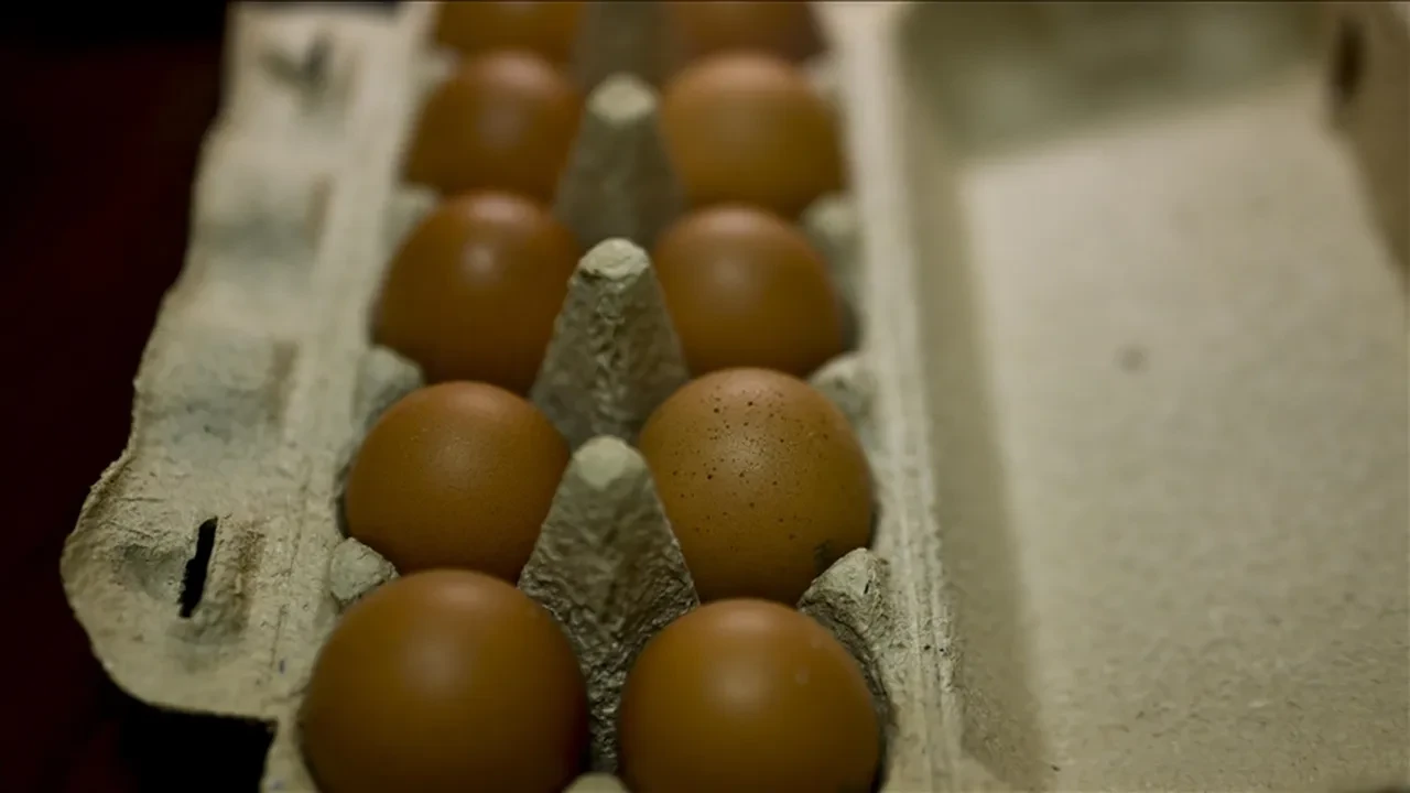 ABD'deki kuş gribi krize neden olacak iddiaları vardı! Yumurta konusunda rahatlatan açıklama