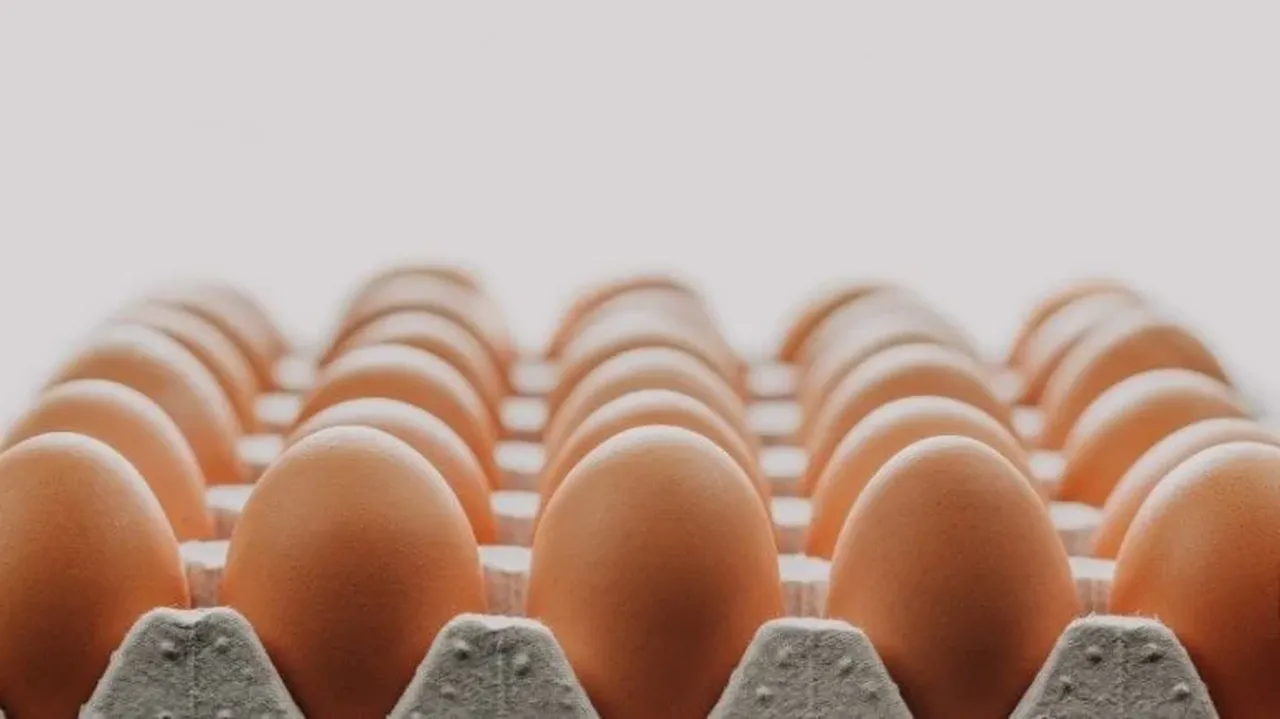 Ramazan’da yumurta fiyatlarına zam gelecek mi? Yumurta ihracatında fon kesintisi