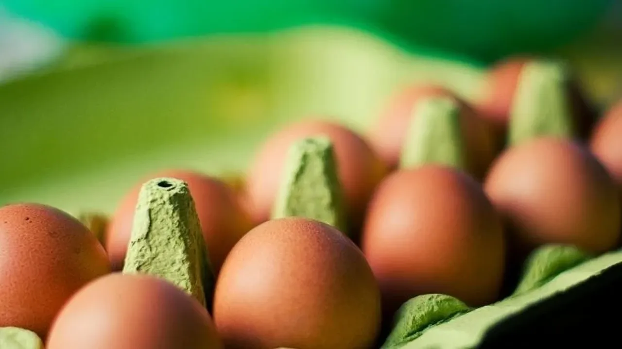 Ramazan’da yumurta fiyatlarına zam gelecek mi? Yumurta ihracatında fon kesintisi
