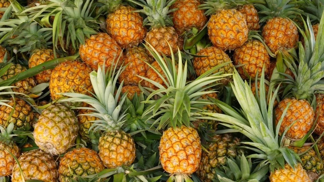 Ananas nasıl kesilir, yenir? Ananas faydaları ve iyi geldiği şeyler