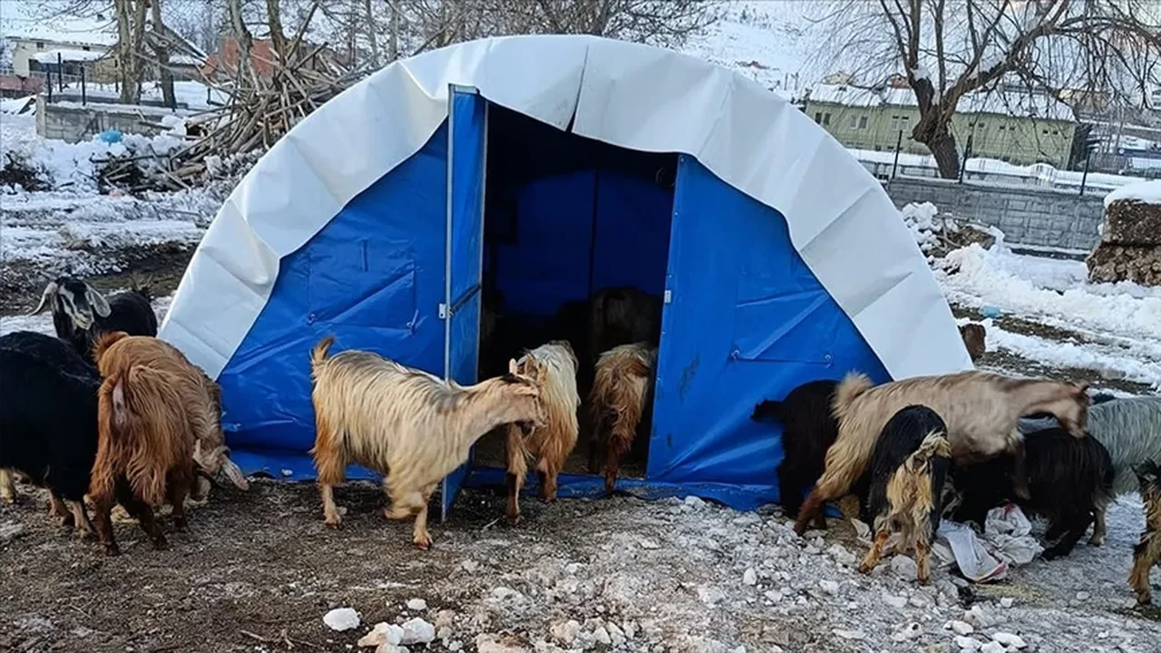 Deprem bölgesine faizsiz kredi desteği! Başvurular e-Devlet üzerinden yapılacak
