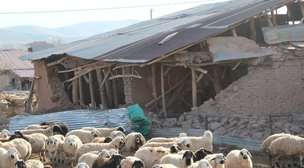 Deprem bölgesine faizsiz kredi desteği! Başvurular e-Devlet üzerinden yapılacak