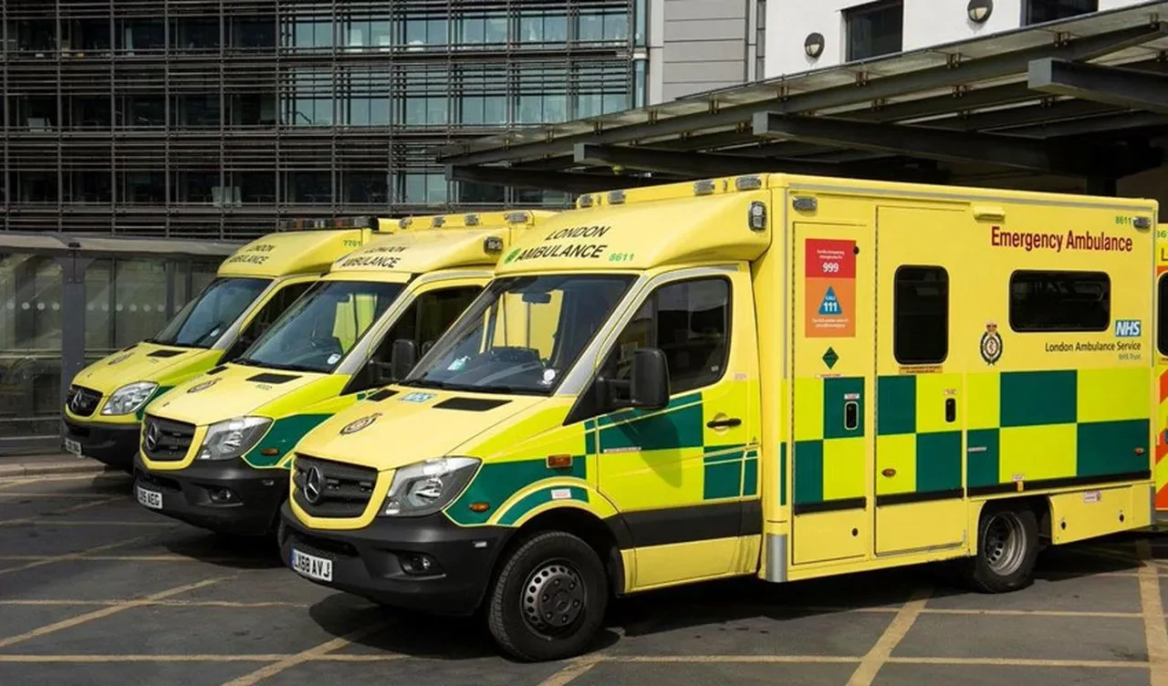 Yağmurda çöp konteynerine sığındı! Ölümden çığlıkları kurtardı