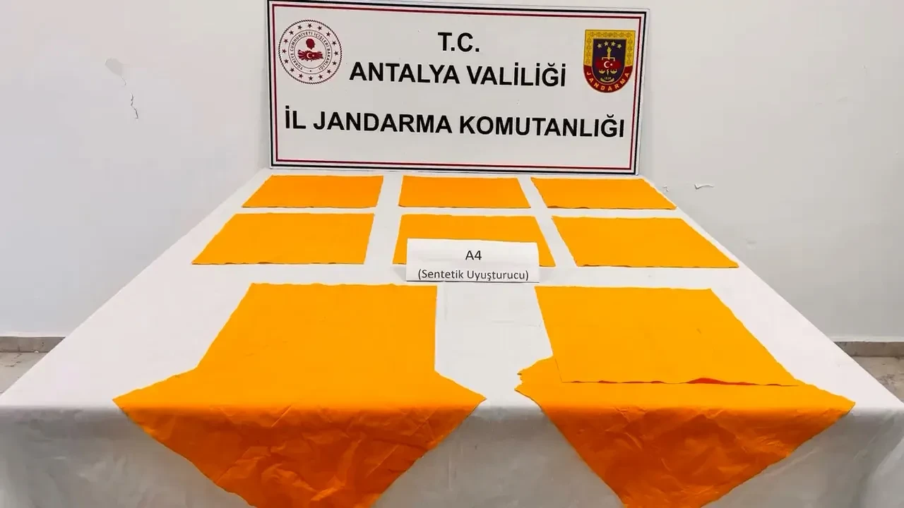 Bakan Yerlikaya duyurdu: 8 organize suç örgütüne darbe! 63 kişi yakalandı