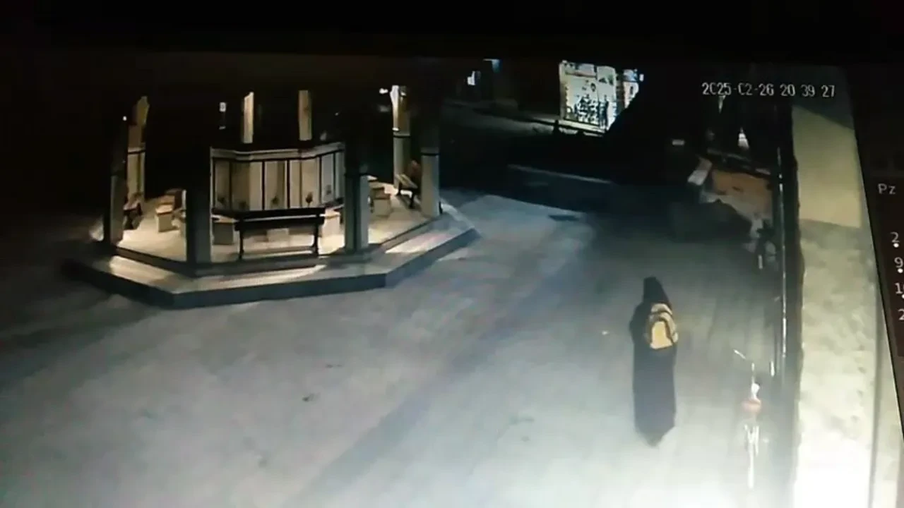 Bursa'da yürekleri ağza getiren olay! Asırlık ağaç böyle devrildi
