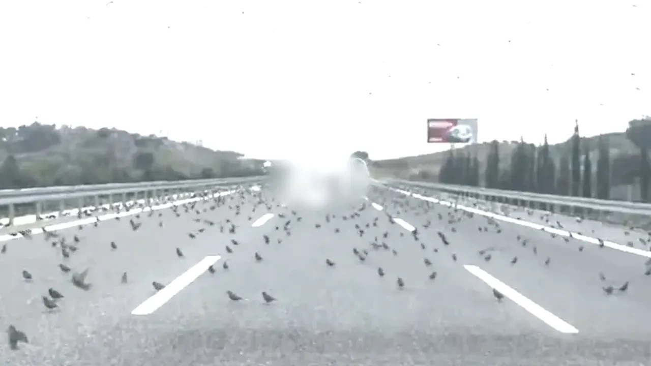 İstanbul-İzmir otoyolunda ürküten görüntüler! Binlercesi yola indi