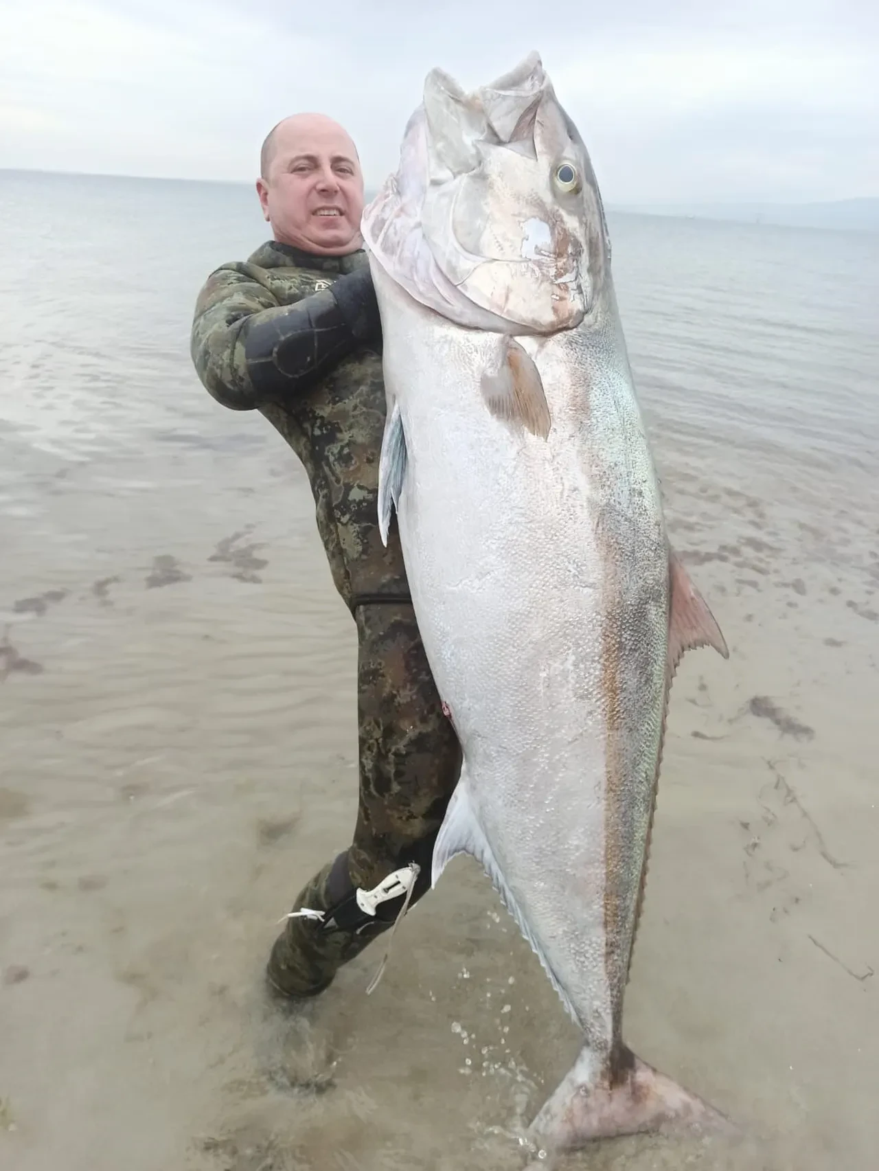 Zıpkınla avladı! 1.8 metre boyunda, 63 kg ağırlığında! O anlar su altı kamerasıyla kaydedildi