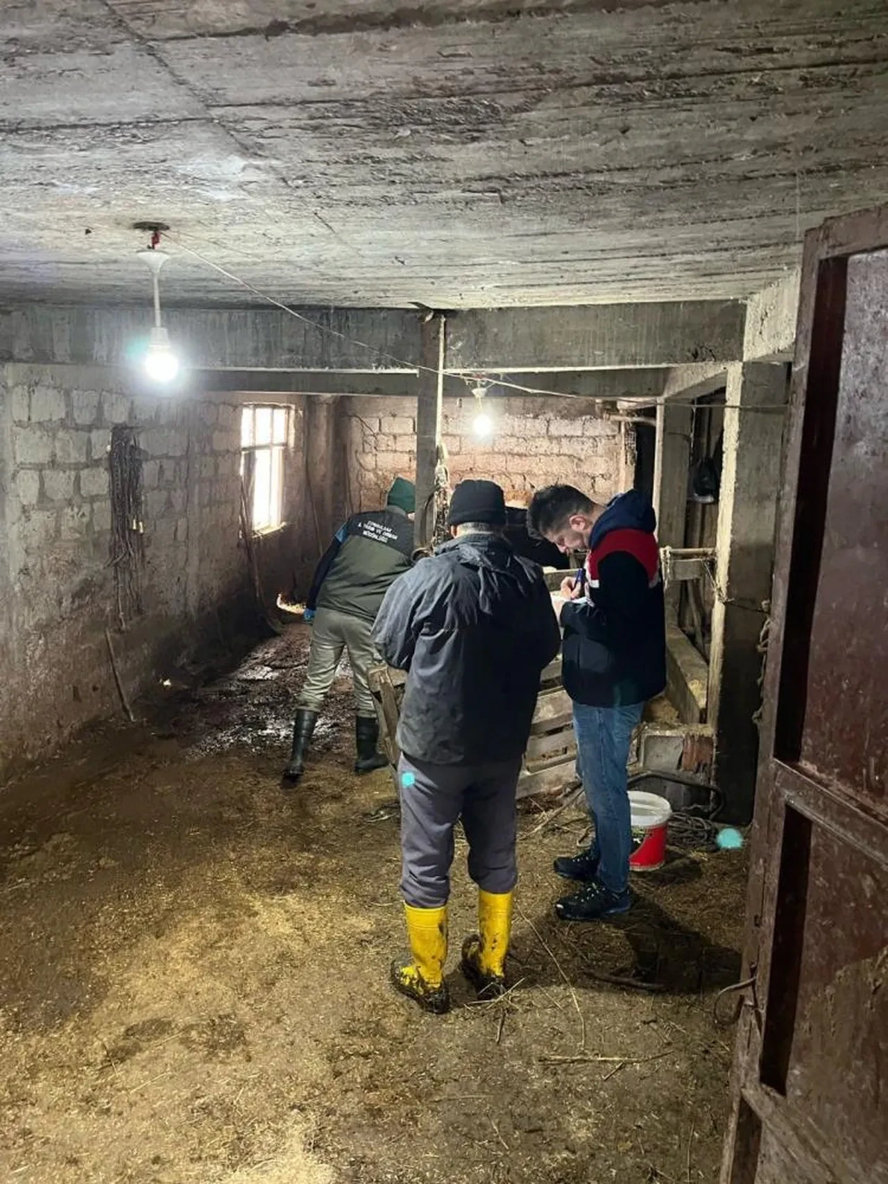 Zonguldak Ereğli'de şap hastalığı alarmı: Bölge karantinaya alındı