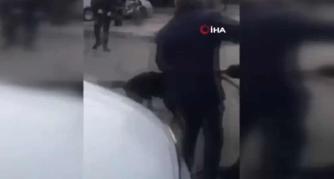 Bağcılar'da pitbull dehşeti! Yasak ırklı cins vatandaşlara saldırdı