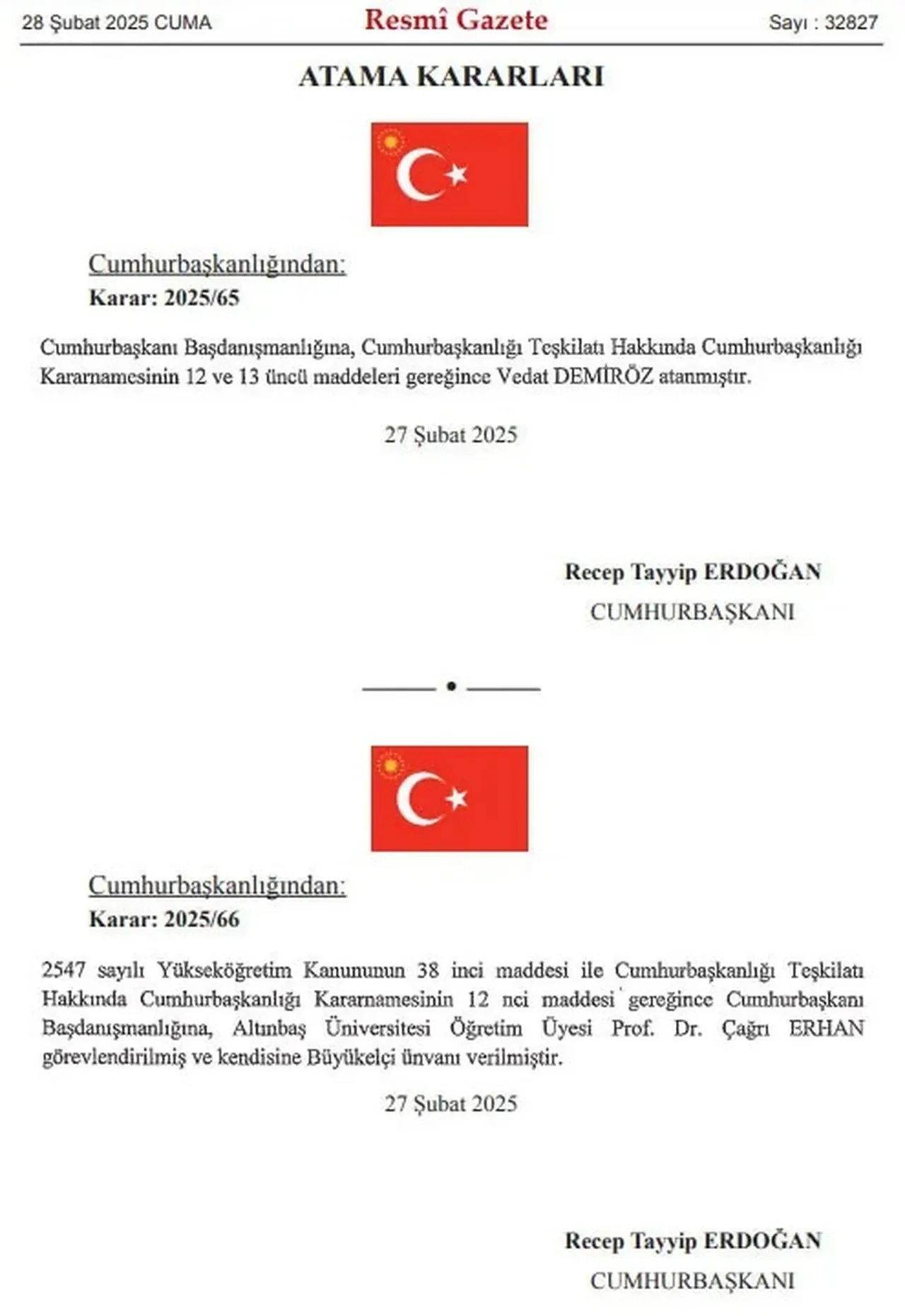 Cumhurbaşkanı Yardımcılığına atamalar! Resmi Gazete'de yayımlandı