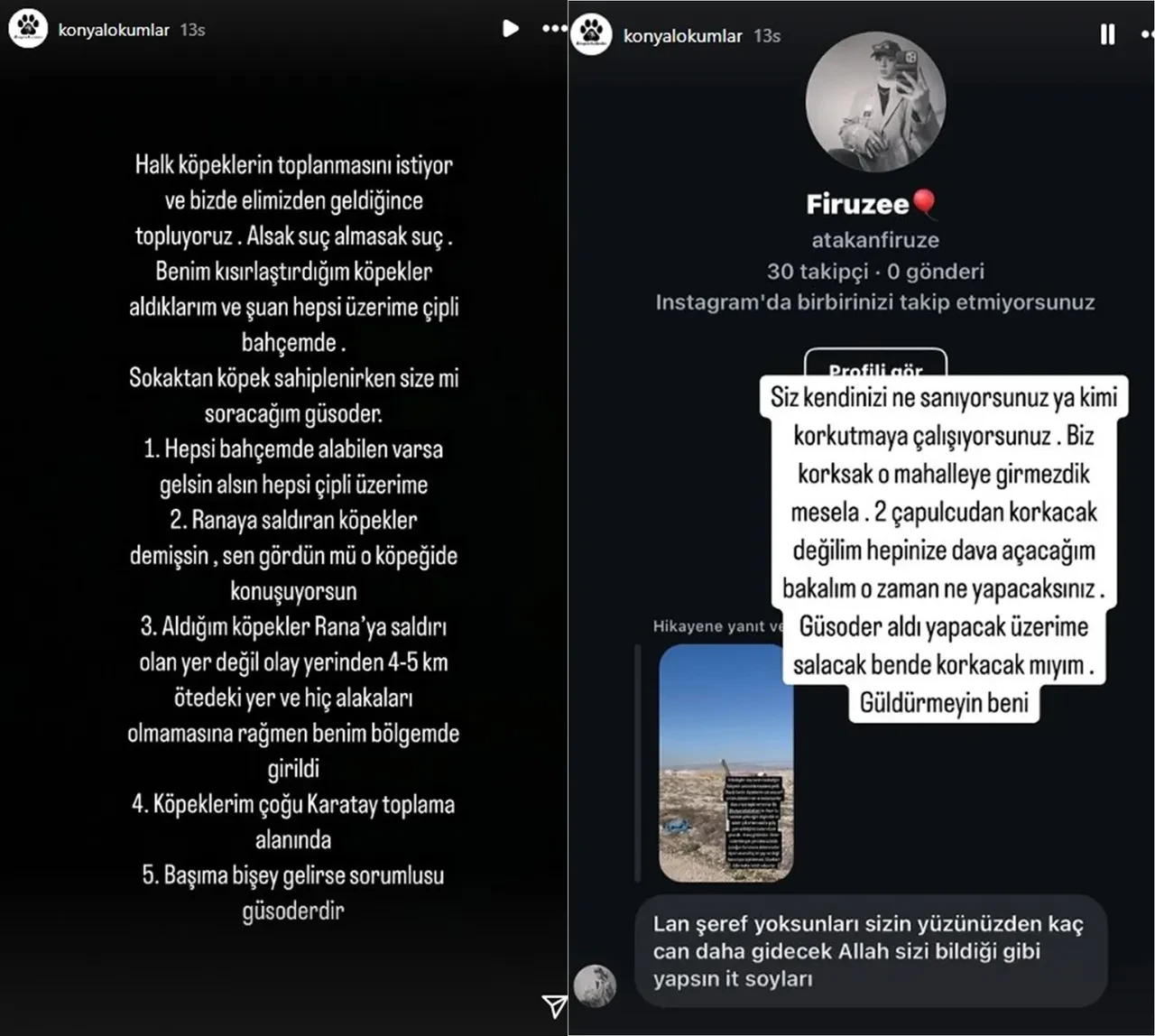 Rana'yı hayattan koparan köpekler kaçırıldı iddiası! Sosyal medyadan tepki yağdı