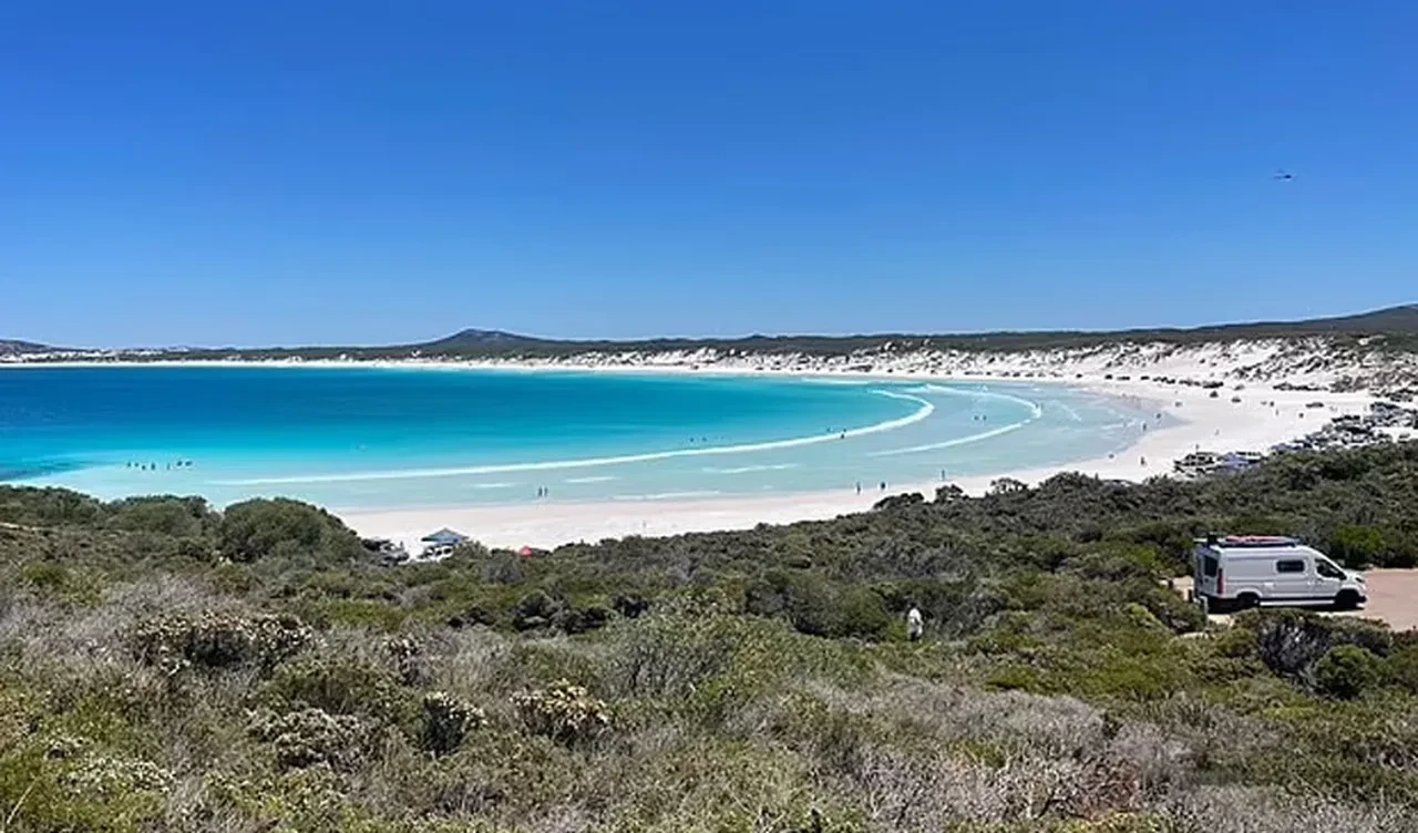 Yine köpek balığı dehşeti: Saldırının ardından sörfçünün sadece diş izleriyle kaplı tahtası bulundu