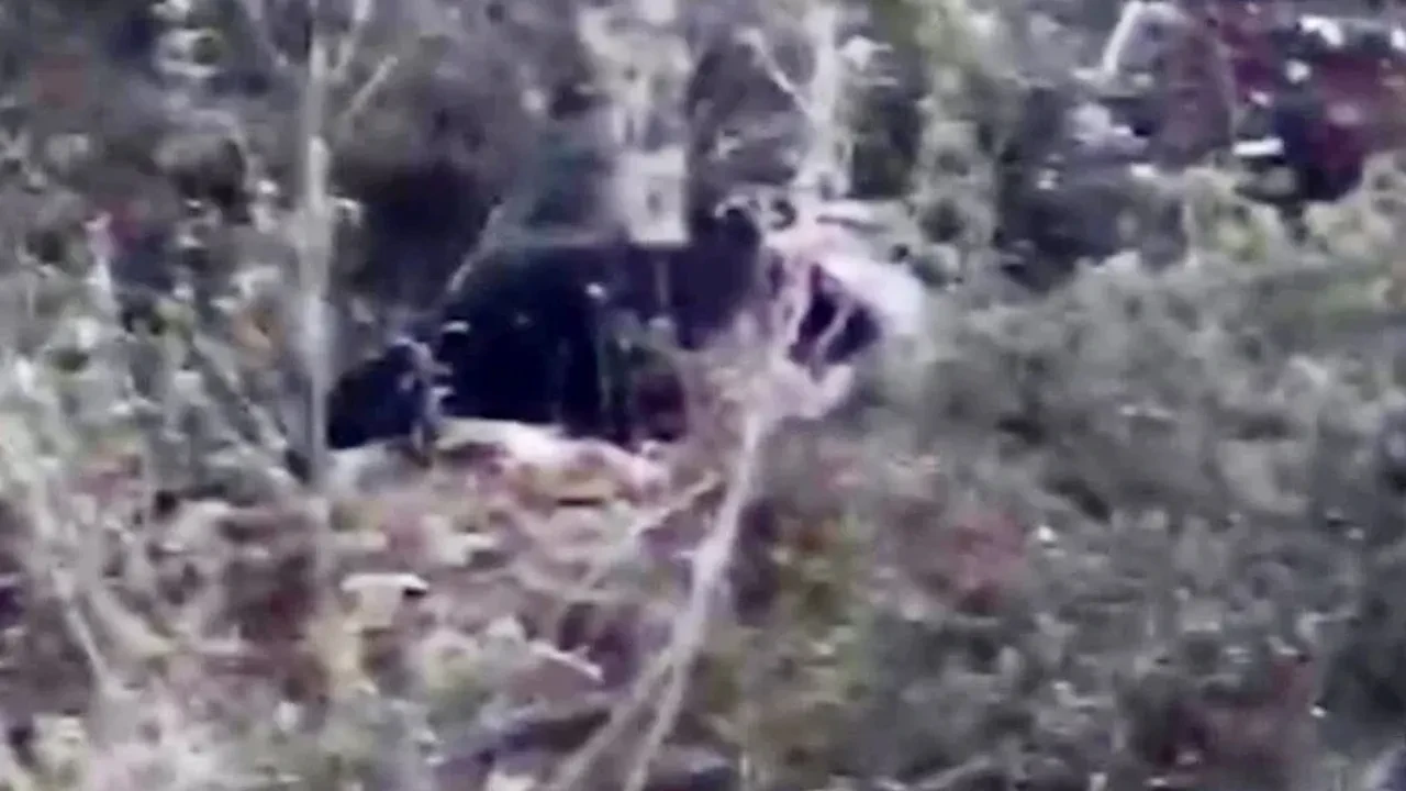 Kesik baş cinayeti 4 yıl sonra çözüldü! Vahşetin nedeni bakın neymiş