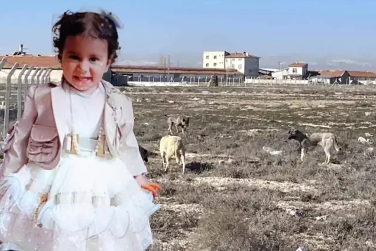 Minik Rana köpek saldırısında ölmedi mi? İletişim Başkanlığı'ndan açıklama geldi