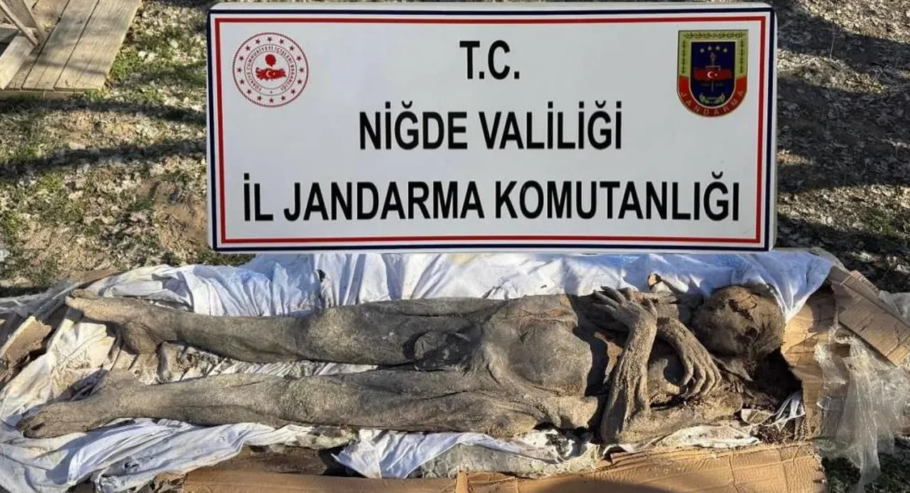 Niğde'de esrarengiz operasyon! Tarihi mumyayı satışa çıkardılar