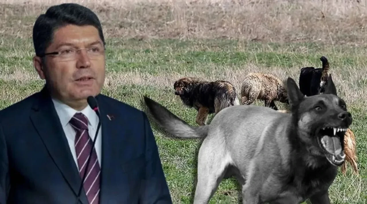 Genel af çıkacak mı? Bakan Yılmaz Tunç'tan net cevap