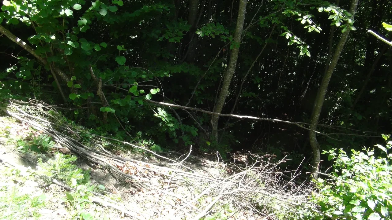 Her yerde aranan adamın cesedi çuval içinde bulundu! Katili, evine kadar uzanan kan izleri ele verdi