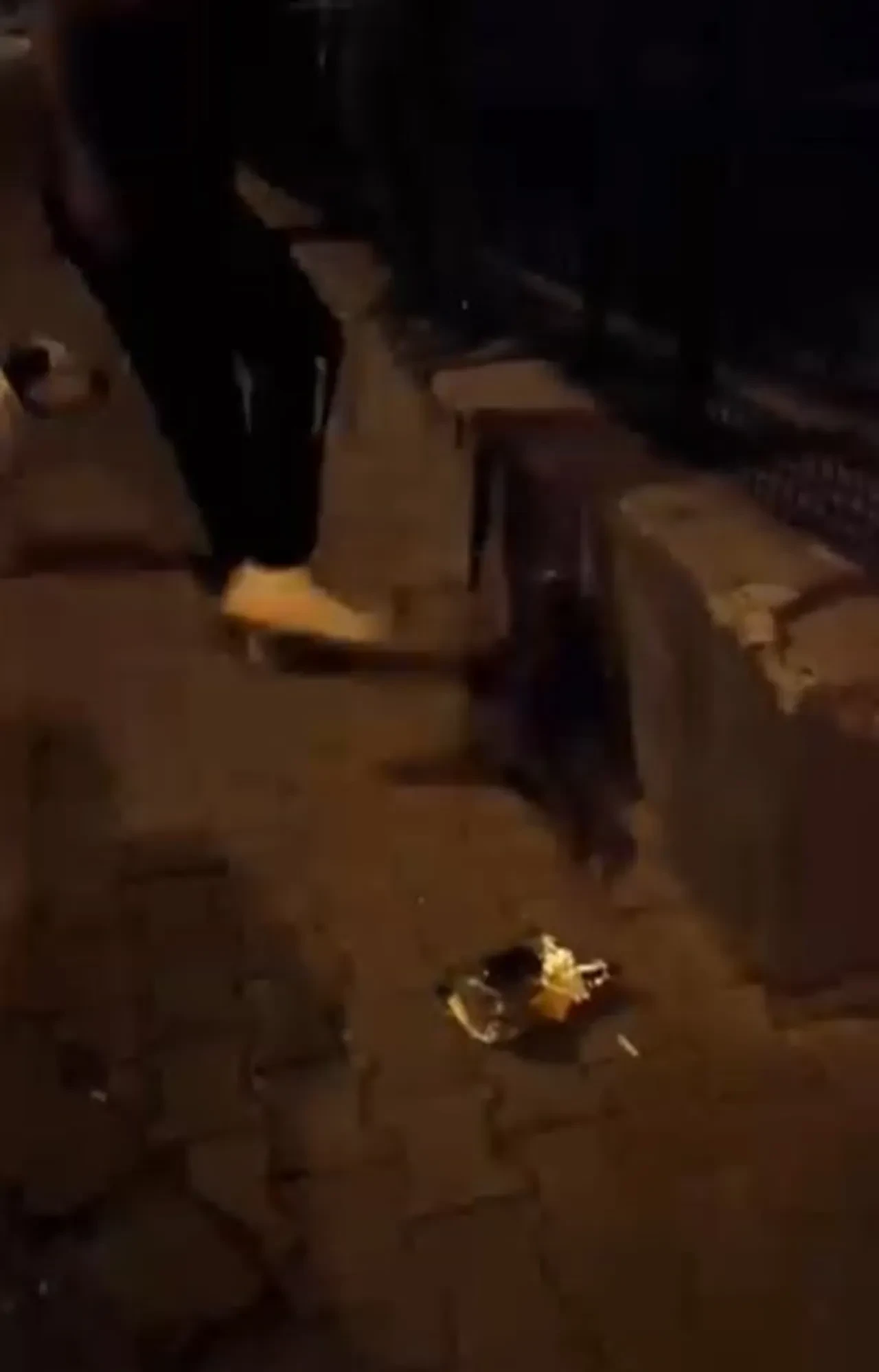 Kediyi tekmeleyen vicdansız cezaevine gönderildi