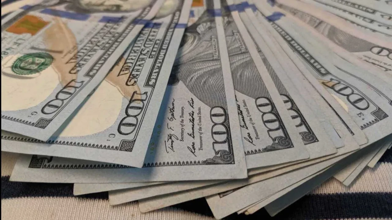 Merkez Bankası'nın döviz ve altın rezervleri belli oldu