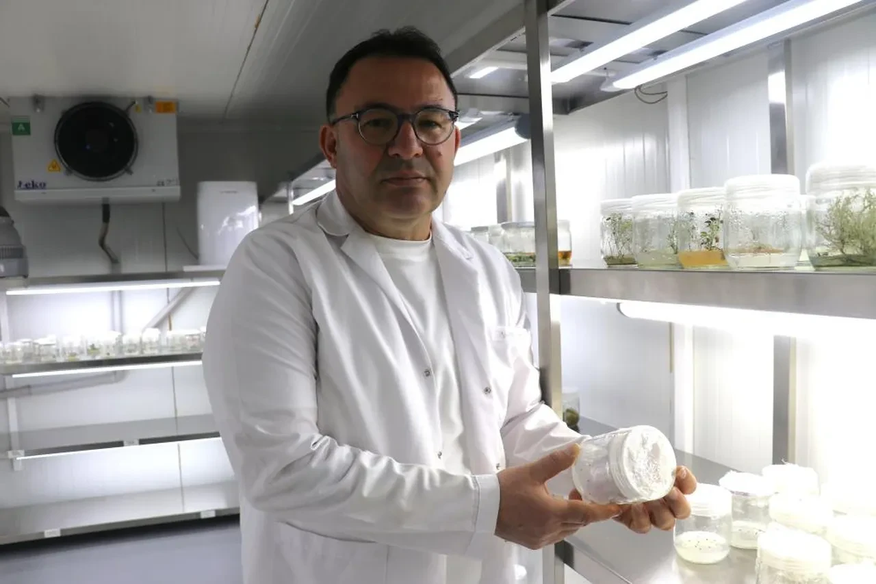 Oruç tutanlara ilaç gibi tavsiye: Açlığı ve susuzluğu önlüyor