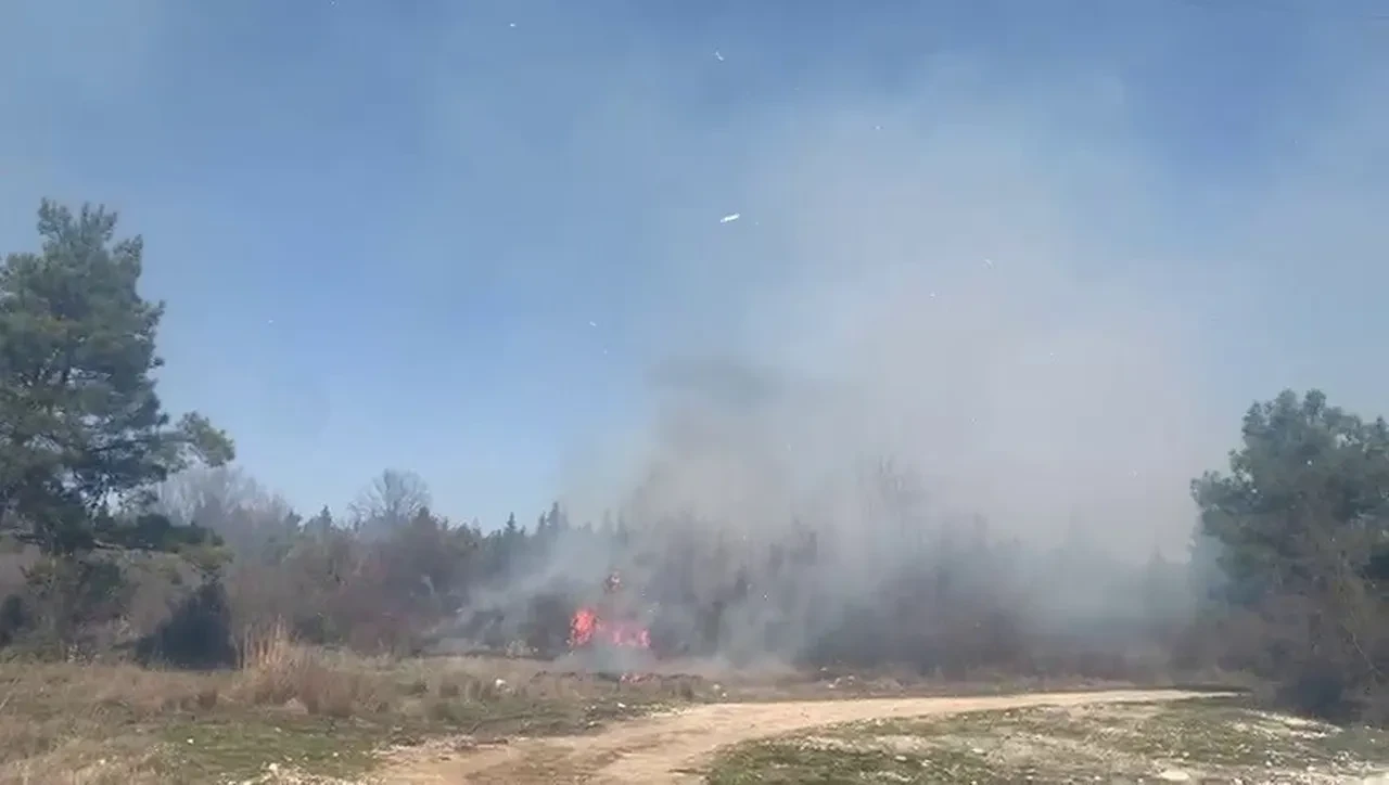Bursa'da korkutan orman yangını