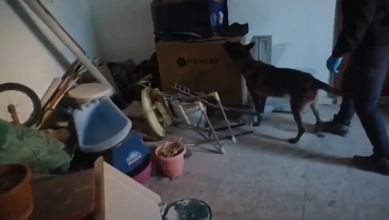 Kastamonu merkezli 3 ilde uyuşturucu baskını: 24 gözaltı