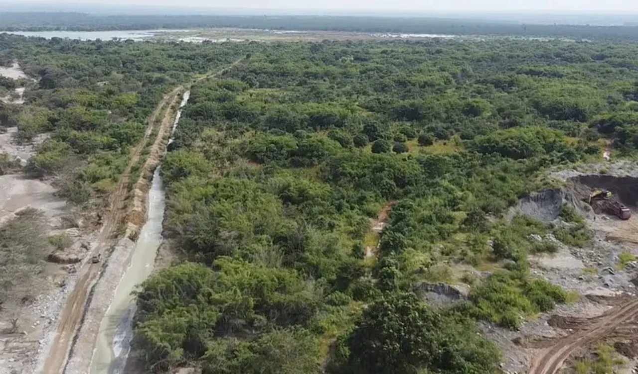 Bakır madenindeki asit sızıntısı Zambiya'nın kalbine aktı! Milyonlarca insan tehlikede
