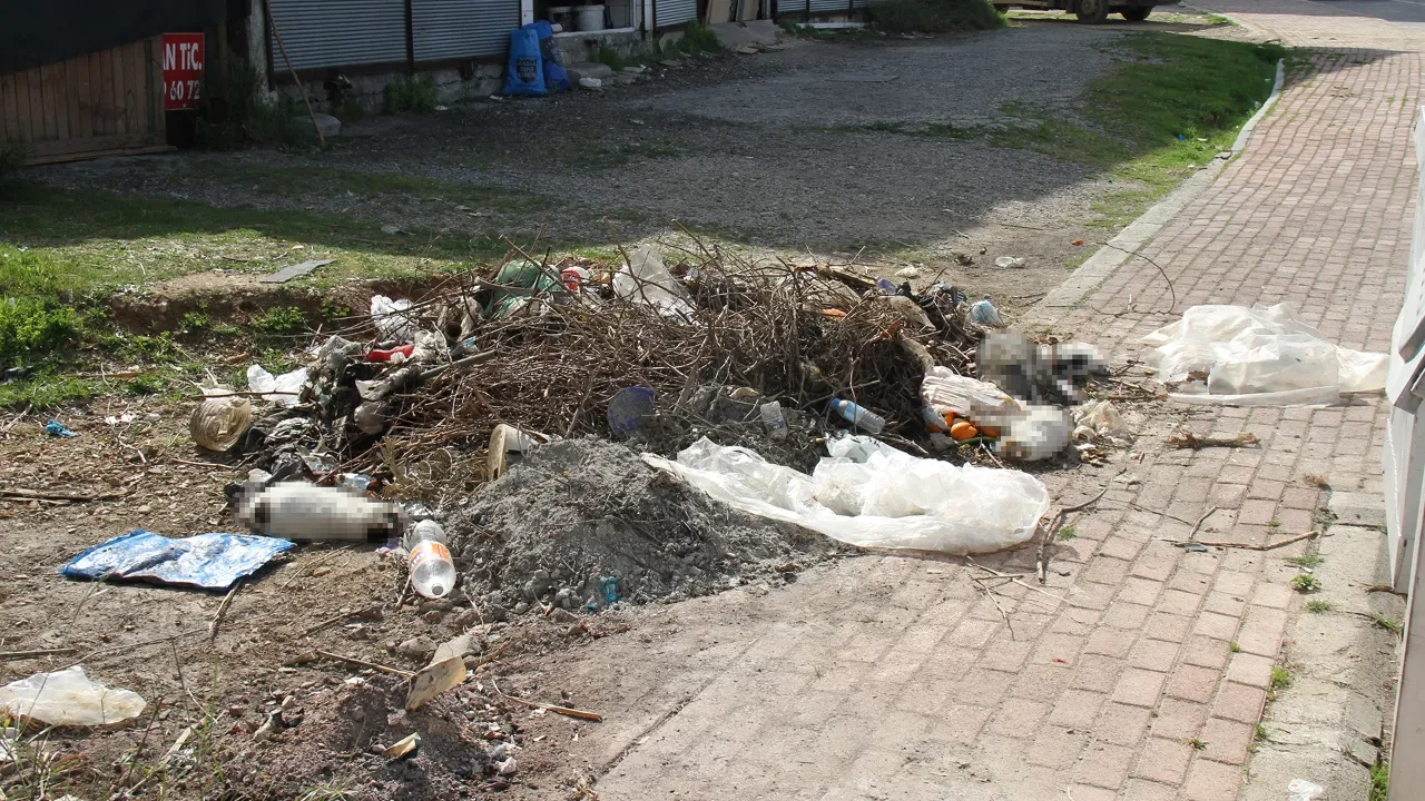 Antalya'da artan kedi ölümleri sonrası harekete geçildi!