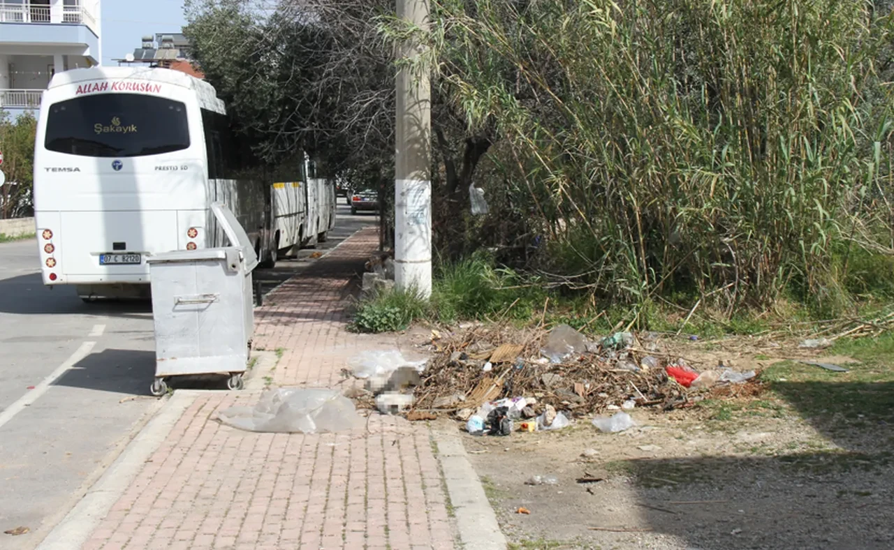 Antalya'da artan kedi ölümleri sonrası harekete geçildi!