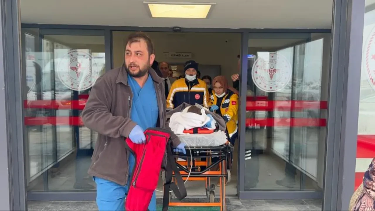 Başıboş köpek dehşetinin son durağı Yalova! 