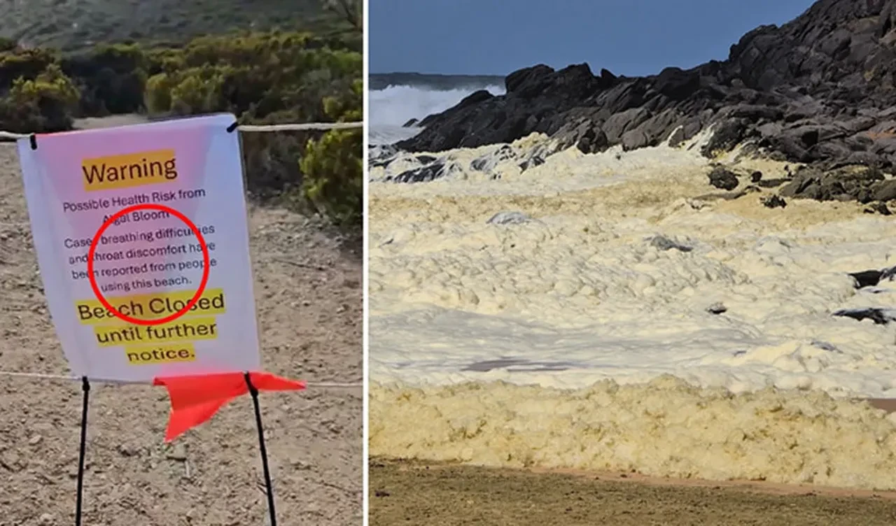 Sahillerde sıra dışı olaylar: Ölü balıklar ve beyaz köpük plajları kapladı herkes bir bir hasta olmaya başladı