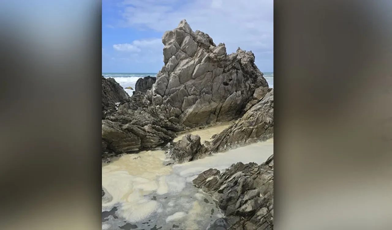 Sahillerde sıra dışı olaylar: Ölü balıklar ve beyaz köpük plajları kapladı herkes bir bir hasta olmaya başladı